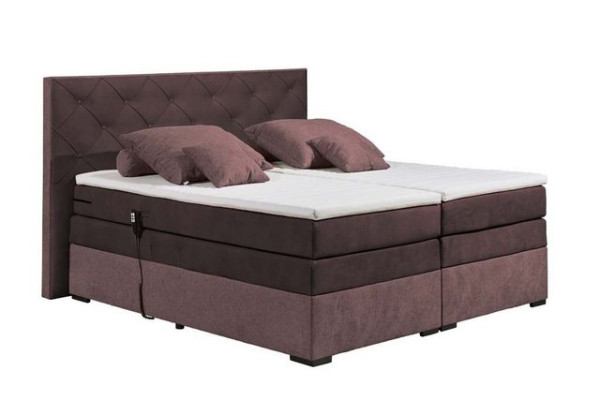 ED EXCITING DESIGN Boxspringliege (180 x 200 cm, Mayfield), Lila