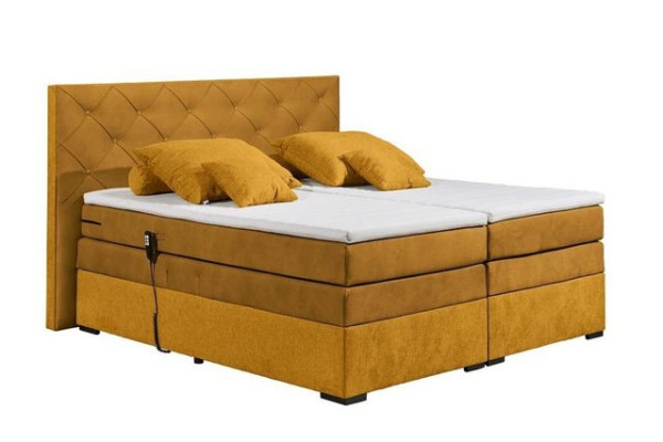 ED EXCITING DESIGN Boxspringliege (180 x 200 cm, Mayfield), Gelb